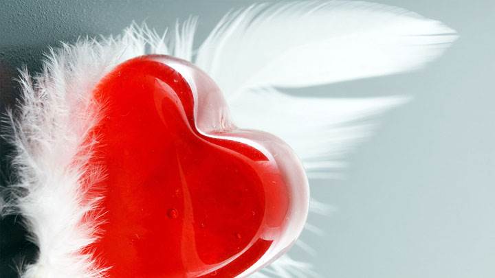 Feather And Red Heart